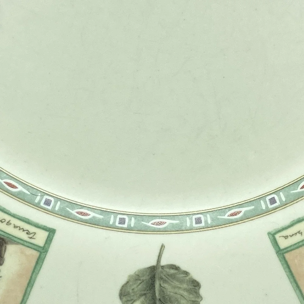 Portfolio Pfaltzgraff Naturewood Dinner Plates 11
